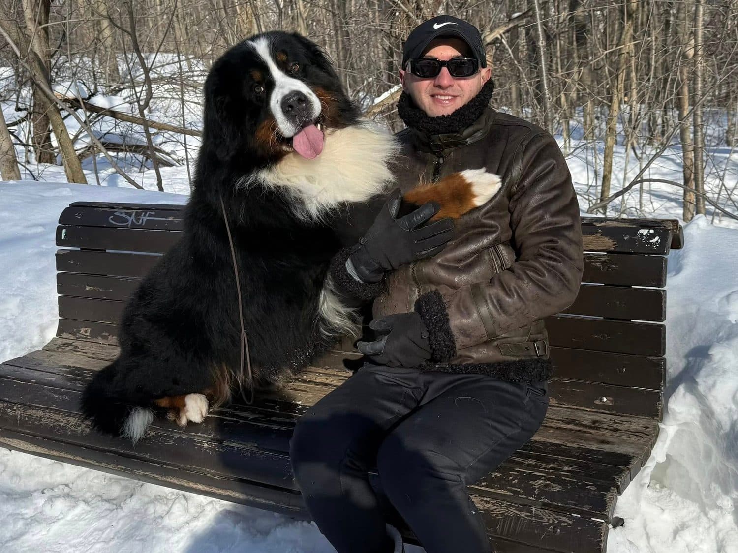 Indygo, mâle Bouvier Bernois de l'élevage Dudswelriver, assis sur un banc enneigé aux côtés de son propriétaire en hiver québécois