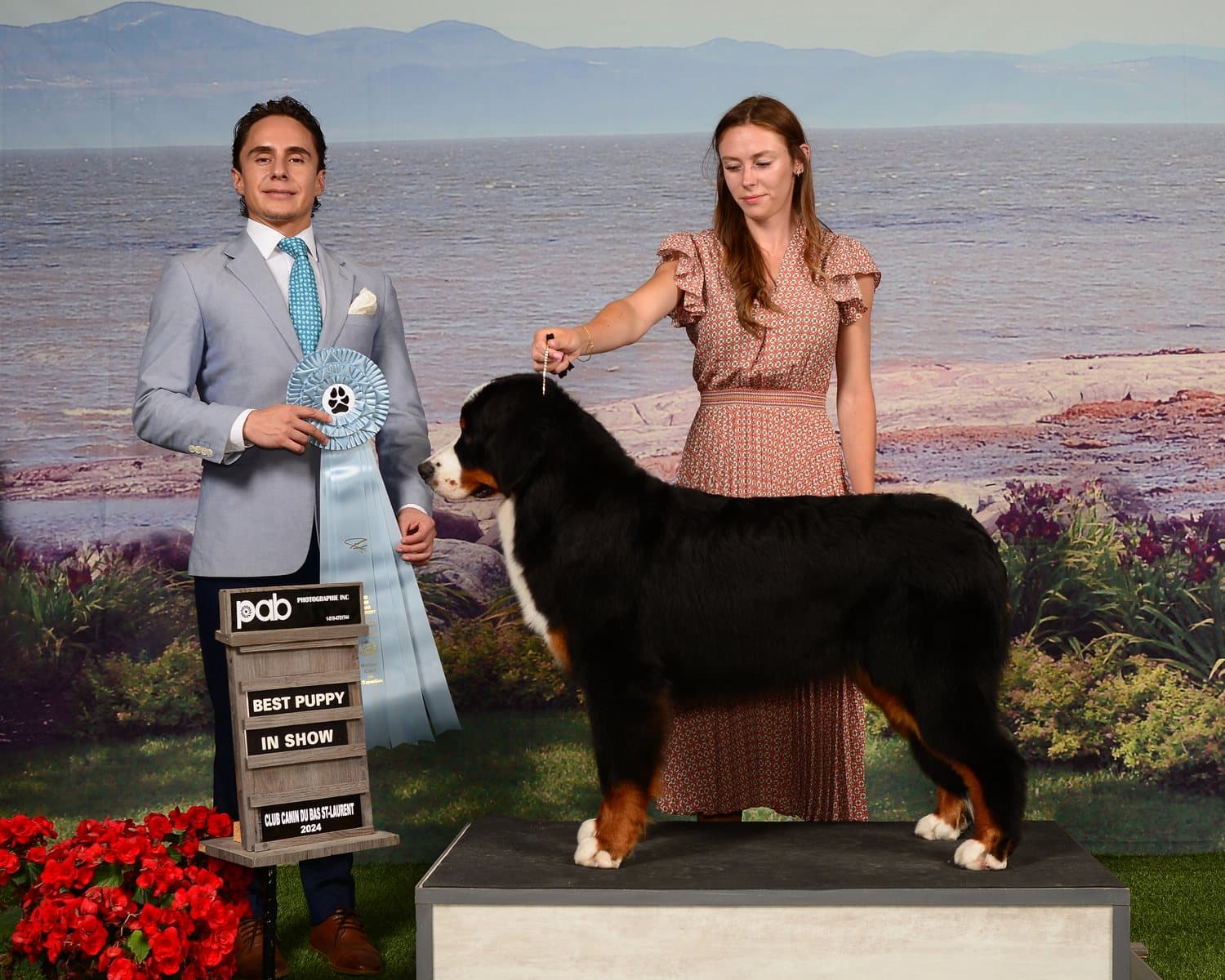 Bouvier Bernois posé en stack sur un podium devant un ruban Best Puppy in Show, tenu par sa présentatrice et le juge