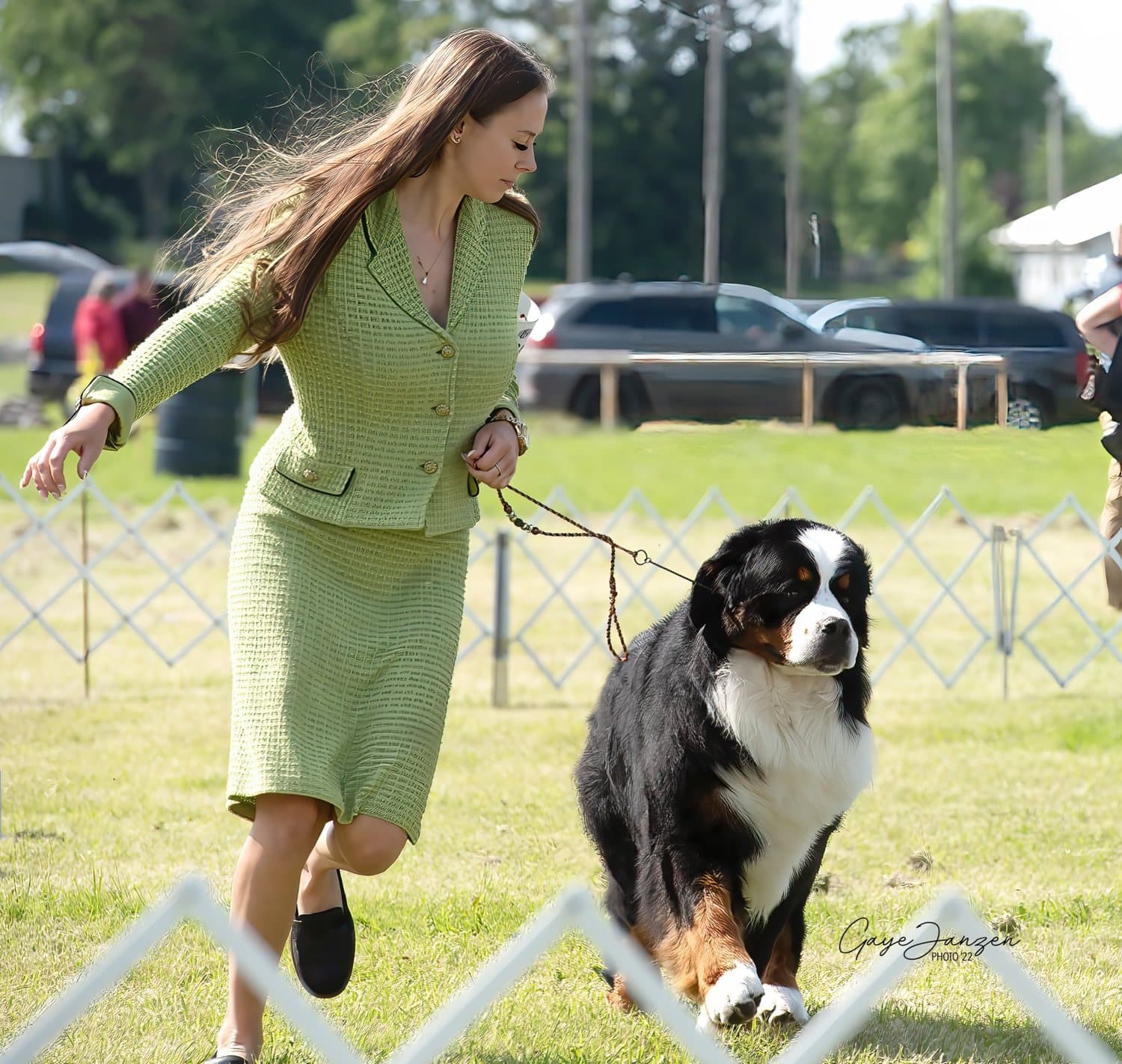 Bouvier Bernois mené en trot par sa maître-chien lors d'une exposition canine sur gazon