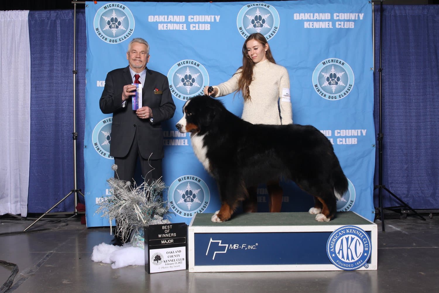Bouvier Bernois présenté en stack devant un juge au Oakland County Kennel Club avec ruban de victoire