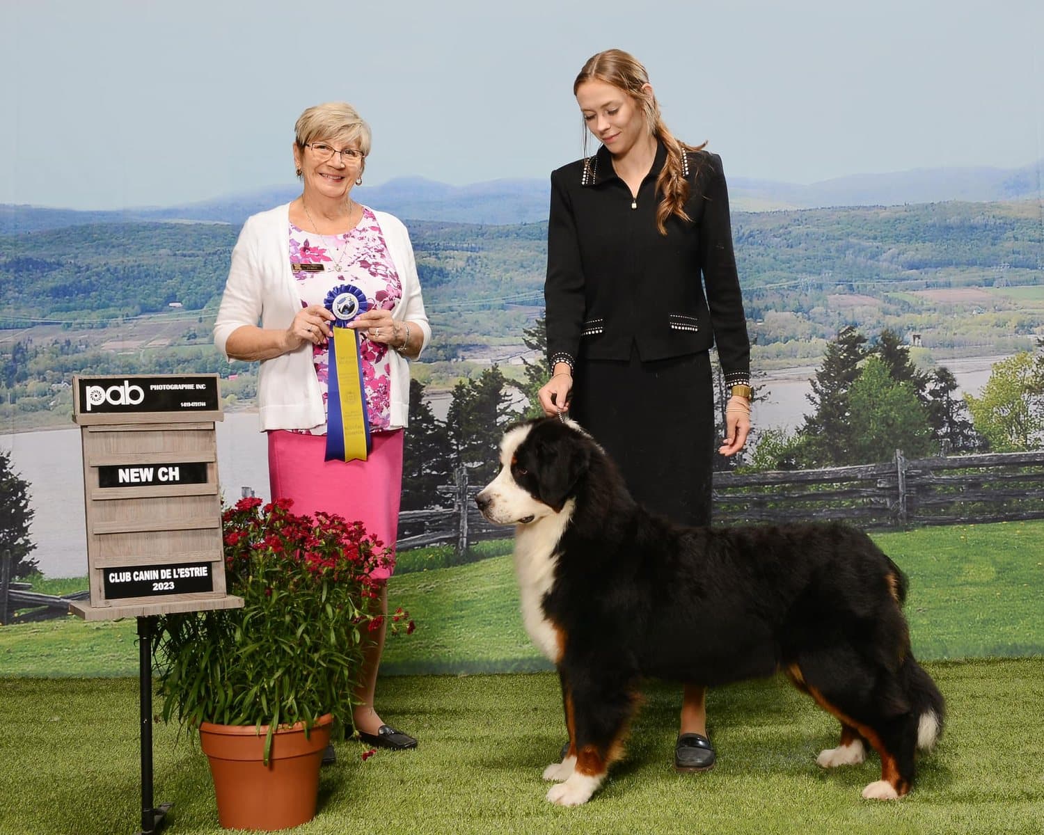 Bouvier Bernois de l'élevage Dudswelriver remportant un titre de Nouveau Champion au Club Canin de l'Estrie