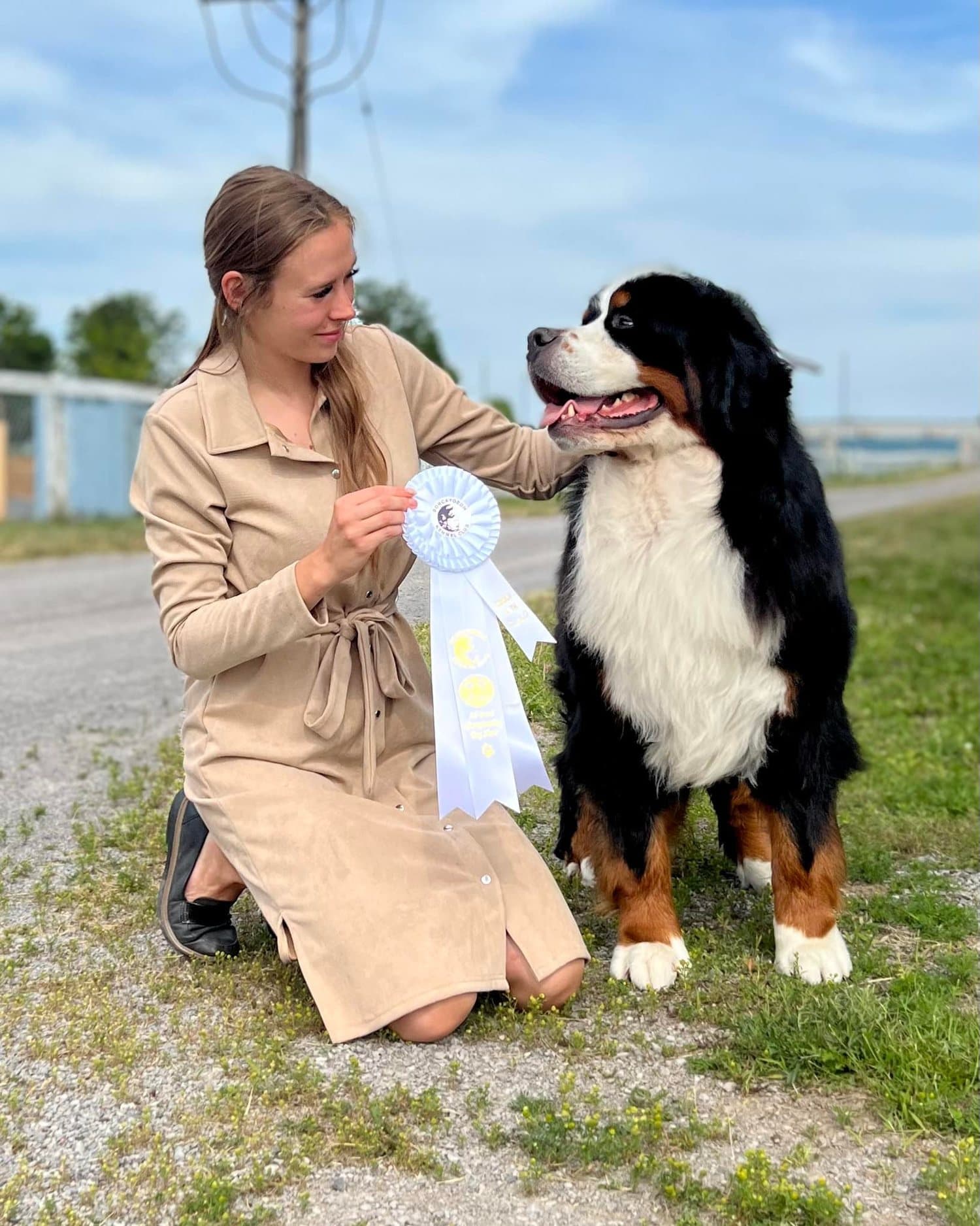 Bouvier Bernois assis aux côtés de sa maître-chien qui tient un ruban de concours