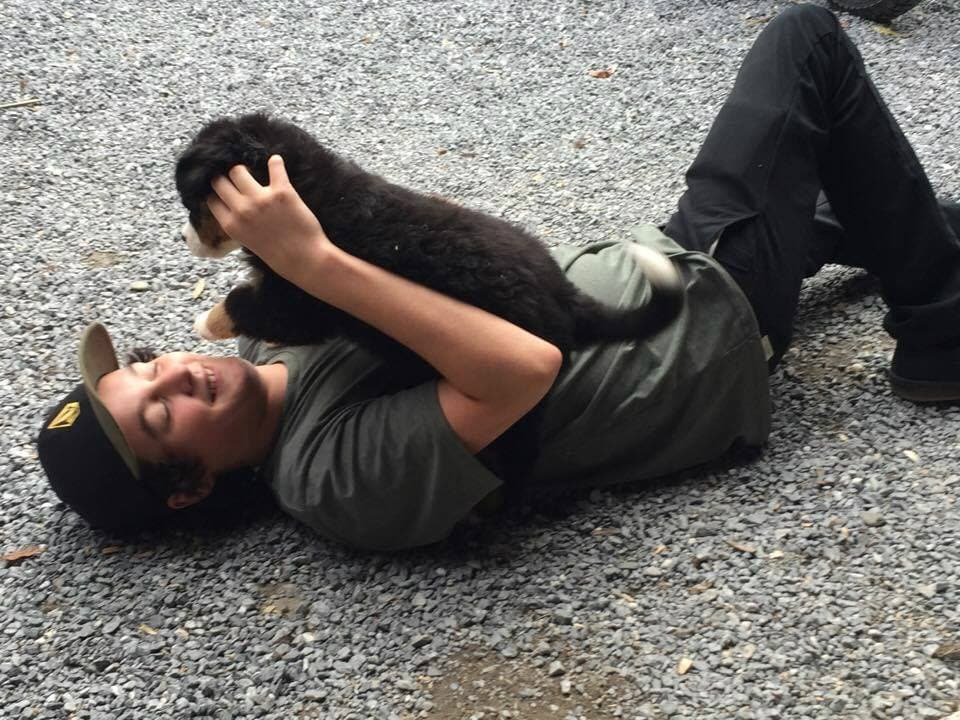 Homme allongé au sol qui joue avec un chiot Bouvier Bernois de l'élevage Dudswelriver
