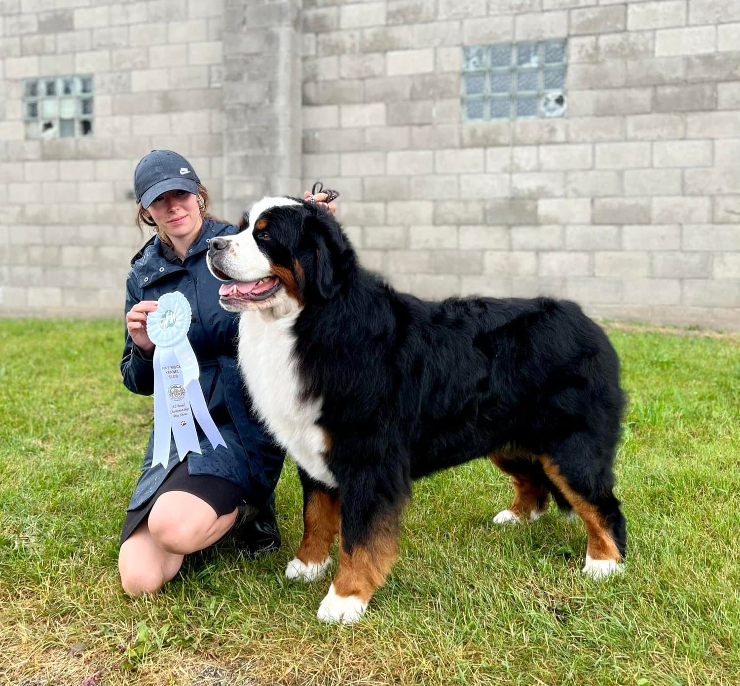 Manieuse à casquette agenouillée avec une rosette bleue à côté d'un Bouvier Bernois adulte placé devant un mur de blocs