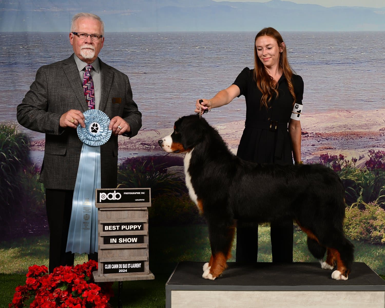 Bouvier Bernois primé Best Puppy in Show, présenté en ring à côté du juge tenant la rosette bleue