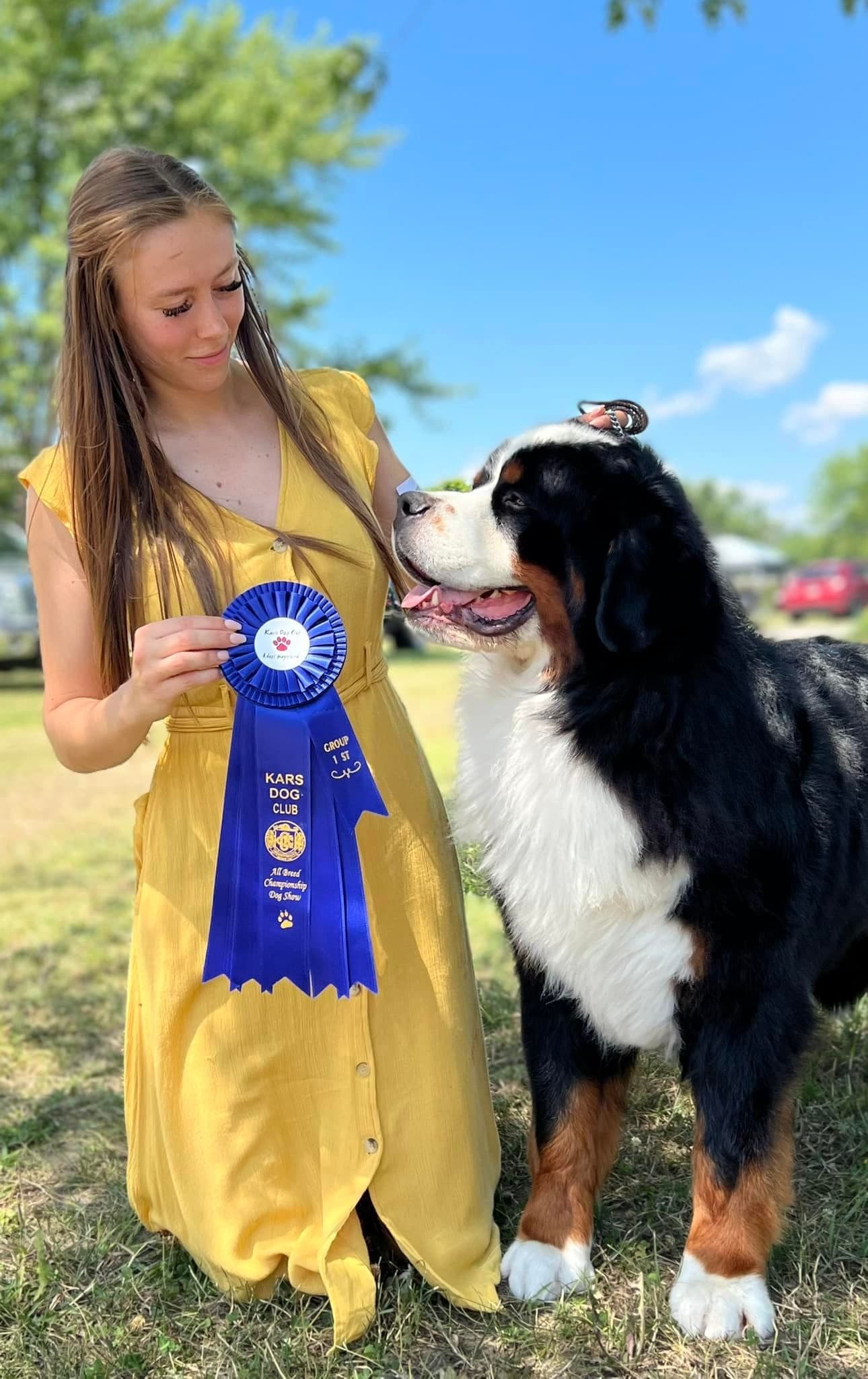 Jeune femme en robe jaune tenant une rosette bleue de premier groupe à côté d'un Bouvier Bernois adulte dans l'herbe